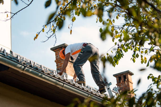 Best Local Roofing Companies  in Eureka, MT